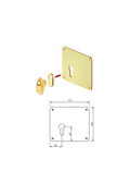 Quadratisches Schild mit Knauf für Panzertür mit europäischem Zylinder für Cisa Mottura Dierre Securemme